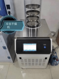desktop freeze dryer freeze-dryer-machine-lyophilizer-in