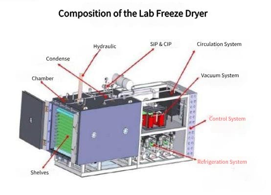 Freeze Drying Solutions For Your Lab 