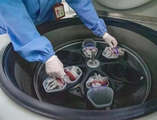 Blood Separation in Centrifuge