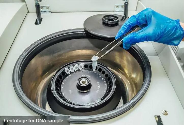 Centrifuge for DNA sample