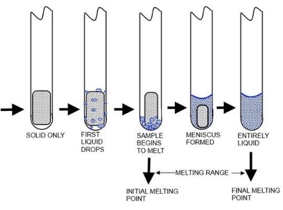 melting point measurement