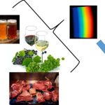 UV-Vis Spectrophotometer in Food Inspection