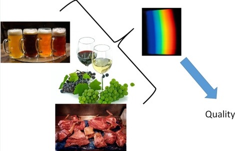 UV-Vis Spectrophotometer in Food Inspection