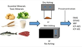 Analytical Techniques in Food Analysis